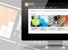 HNG Pro-Logistic – création de site internet vitrine